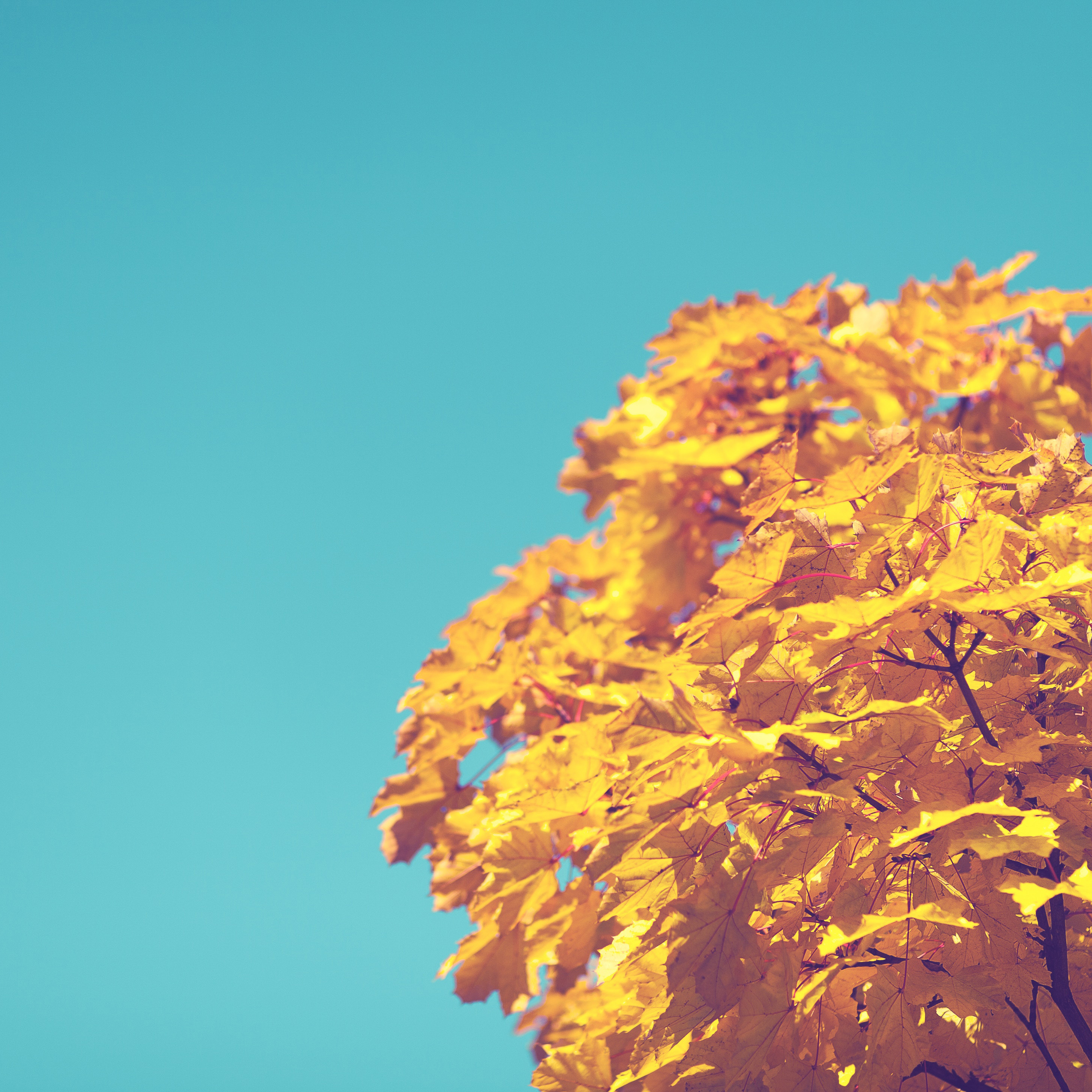 ben-regali-1223-unsplash