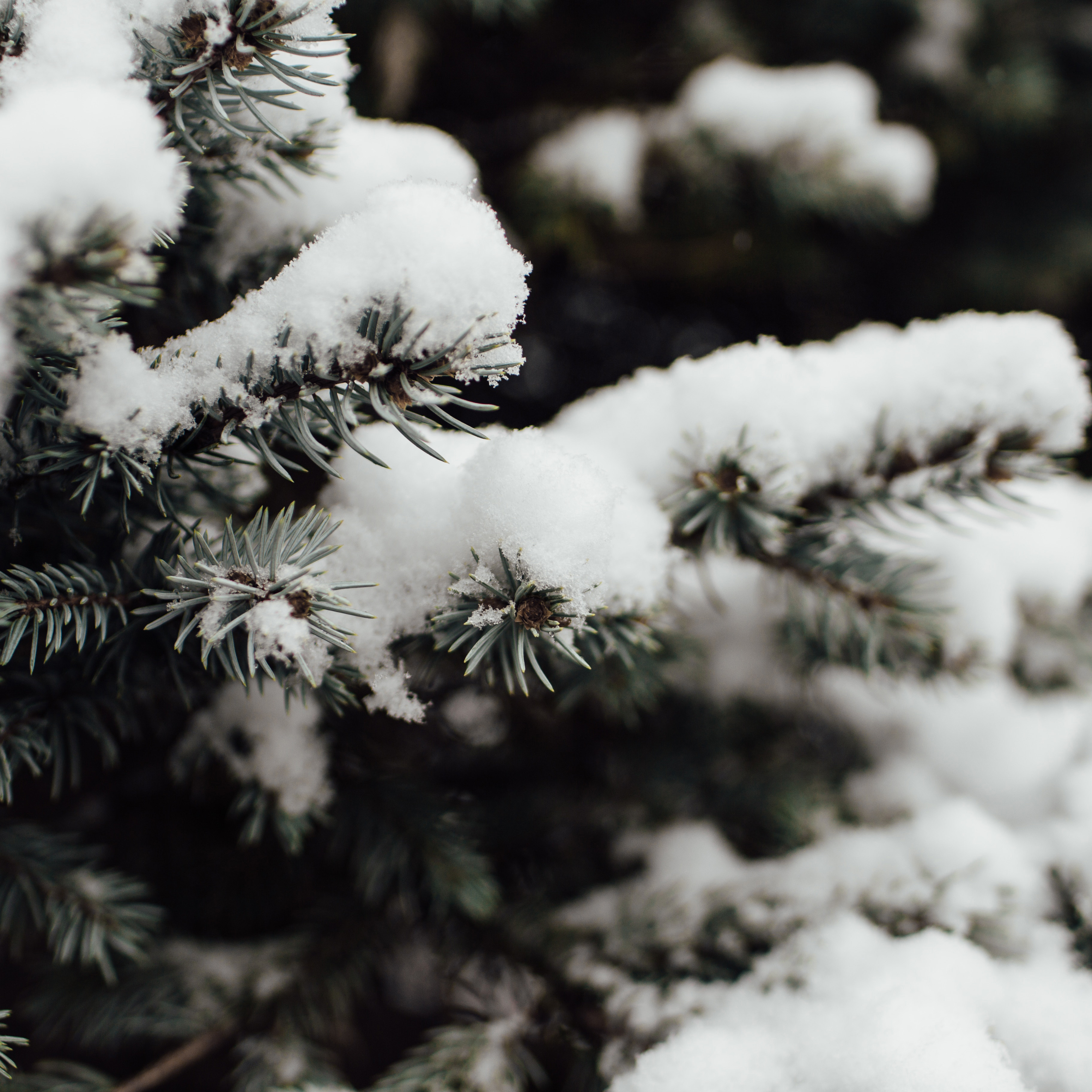 katy-belcher-485652-unsplash